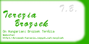 terezia brozsek business card