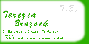 terezia brozsek business card